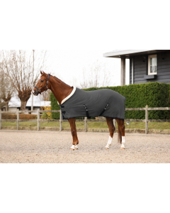 Fleece rug with collar