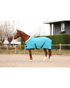 Fleece rug with collar