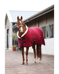Fleece rug with collar