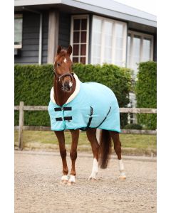 Fleece rug with collar